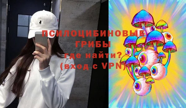 СК Куйбышев