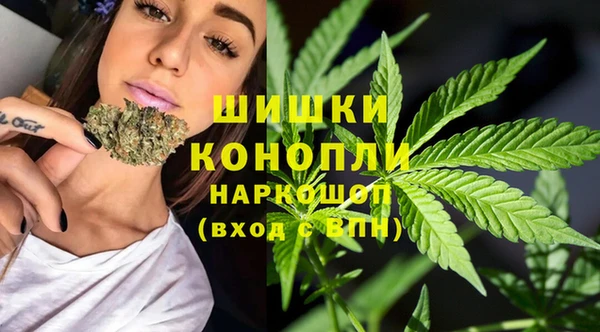СК Куйбышев